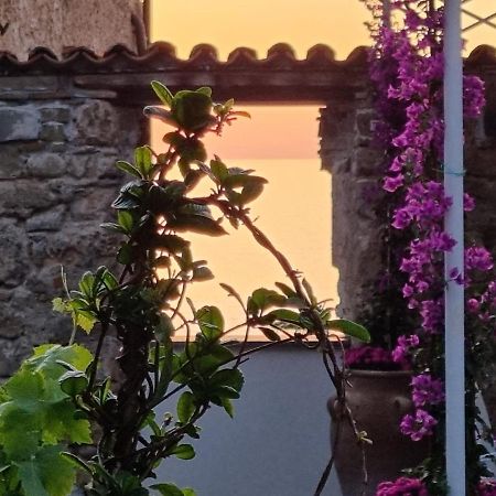 Residenza D'Epoca Olimpia Hotell Santa Maria di Castellabate Eksteriør bilde